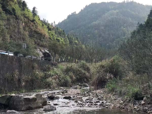 水電站說拆就拆？看深圳專業(yè)拆遷律師如何在法庭雄辯維權(quán)