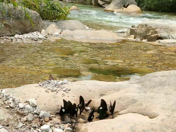 律師遺言見證如何撤銷？深圳遺囑繼承律師釋疑