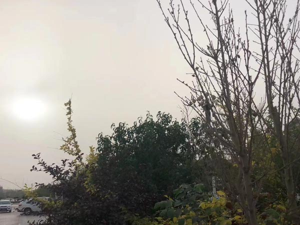 股權(quán)轉(zhuǎn)讓發(fā)生糾紛的情況下管轄法院如何確定？深圳靠譜的律師來回答