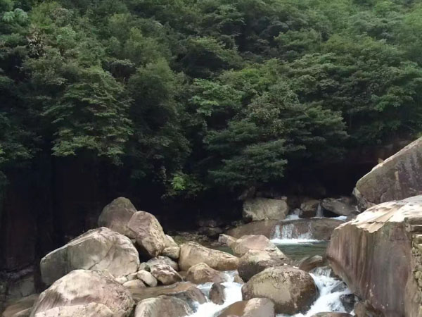 深圳法律咨詢網(wǎng)來講講能否以勞動合同倒簽為由主張工資差額
