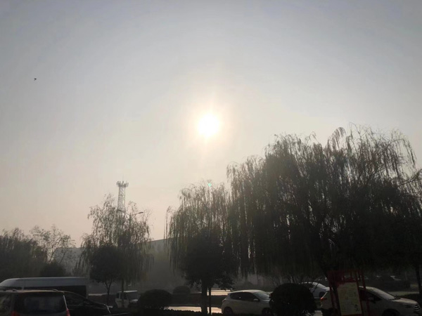 都在這兒了！關(guān)于遺產(chǎn)繼承，深圳遺產(chǎn)糾紛律師2022最新法律條文整理